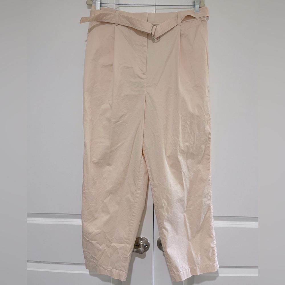 J. Crew NWOT Belted Chino High Rise wide leg Trouser Pants with pockets